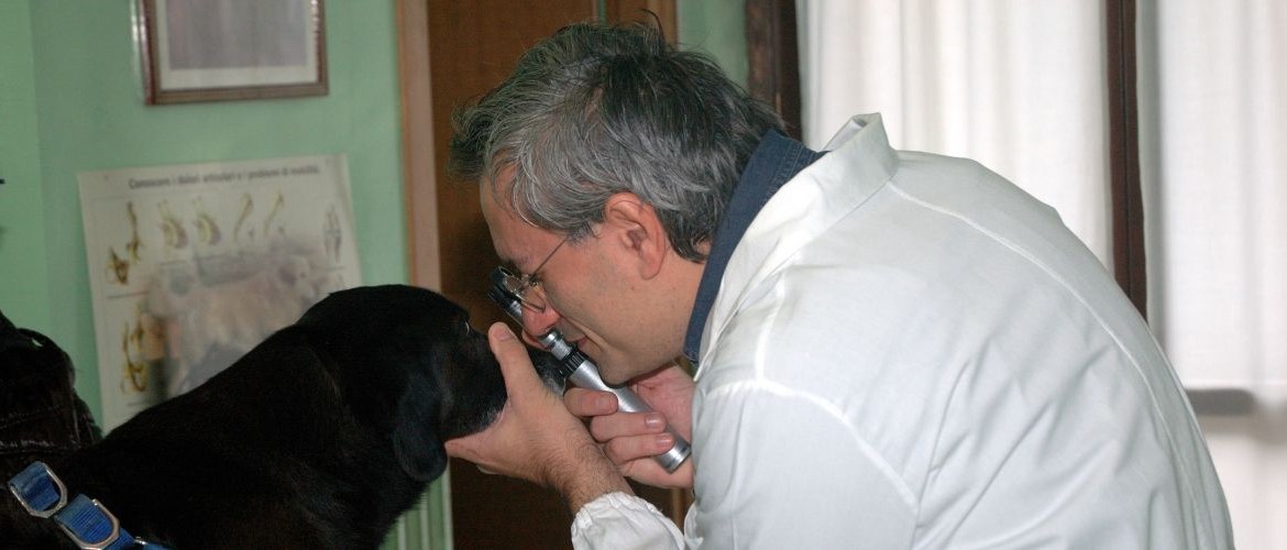 Ambulatorio veterinario dott. Emanuele Peccioli via Piave 3 Montanaro - Torino